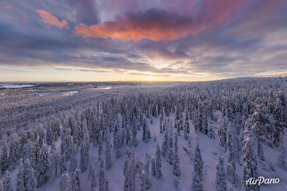 Four Seasons. Winter Forest. Relax Flight