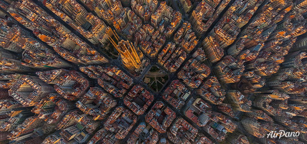Barcelona cells
