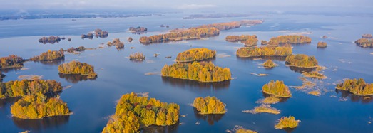 Four Seasons. Autumn Forest. Relax Flight