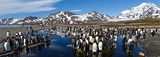 Antarctica, South Georgia Island