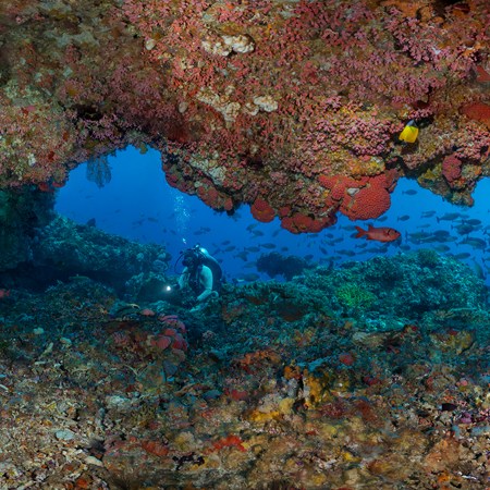 Underwater cave, Komodo, Indonesia