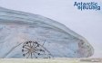 Antarctic Biennale