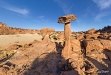 Stone mushroom