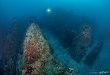 Stone, which became a coral reef
