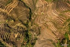 Terraces near Dapu village