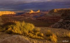 Lake Powell #55