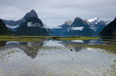 Mitre Peak, Miford Sound, Fiordland #4