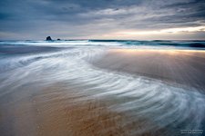 Sandfly Bay, Otago Peninsula #1