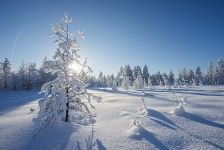 Kamchatka in winter, Russia