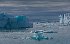 Icebergs with Austfonna Glacier on the background