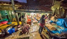 At the fish market in the evening