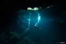 Cenote diving