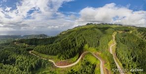 North-West of Nuku Hiva, Pine Woods, Marquesas islands