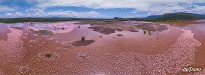 Big water on a Bogoria lake, Kenya