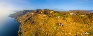 Vineyards from above