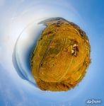 Vineyards. Planet