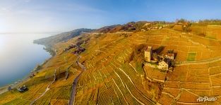 Swiss Riviera Vineyards