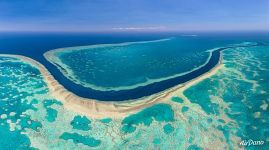 The Great Barrier Reef