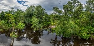 Venezuela, Delta of Orinoco River