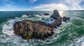 Kozlov’s stone. Steller sea lions rookery