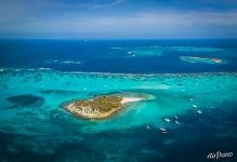 Baradal. Tobago Cays