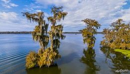 Sunny day on the lake in Louisiana