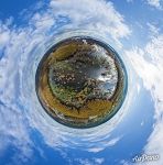 Cypress swamp in Texas. Planet