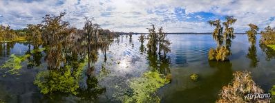 Sunny day on the lake in Louisiana