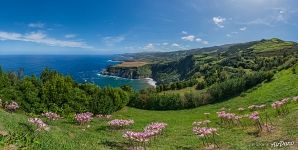 Nature of São Miguel Island