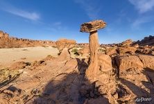 Stone mushroom