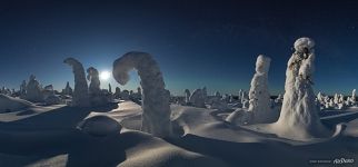 Winter forest in the moonlight. Panorama. Kuntivaara