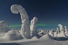 Kuntivaara fairytale forest at night