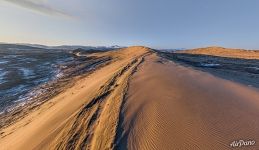 Dune at dawn Dune at dawn