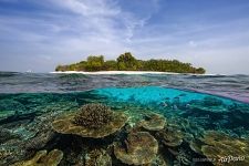 Pineapple island, Maldives