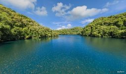 Jellyfish Lake