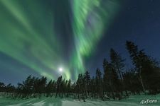 Aurora on a moonlit night