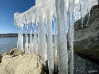 Danube ice