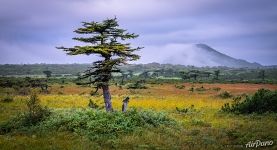 Nature of Iturup island