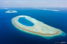 Maldive Islands