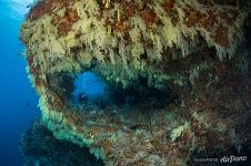 Fotteyo underwater overhangs (Hurahu Kandu)