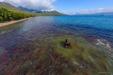 The Land of Bears, Kurile Lake, Kamchatka, Russia