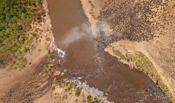 The great migration, Kenya