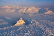Snow forms #10