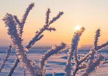 Landscapes of Polar Urals #5 Landscapes of Polar Urals #5