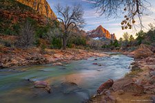 Zion National Park, Utah, USA