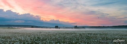 Mosalsky District, Kaluga Oblast, Russia (20966x7306 px)